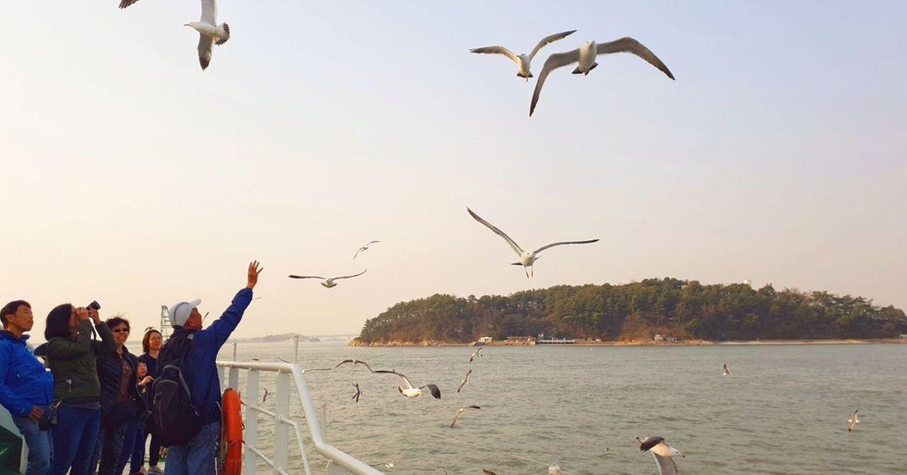 Tour 1 ngày thăm quan thành phố Incheon, Hàn Quốc giá ưu đãi (Tour A)!