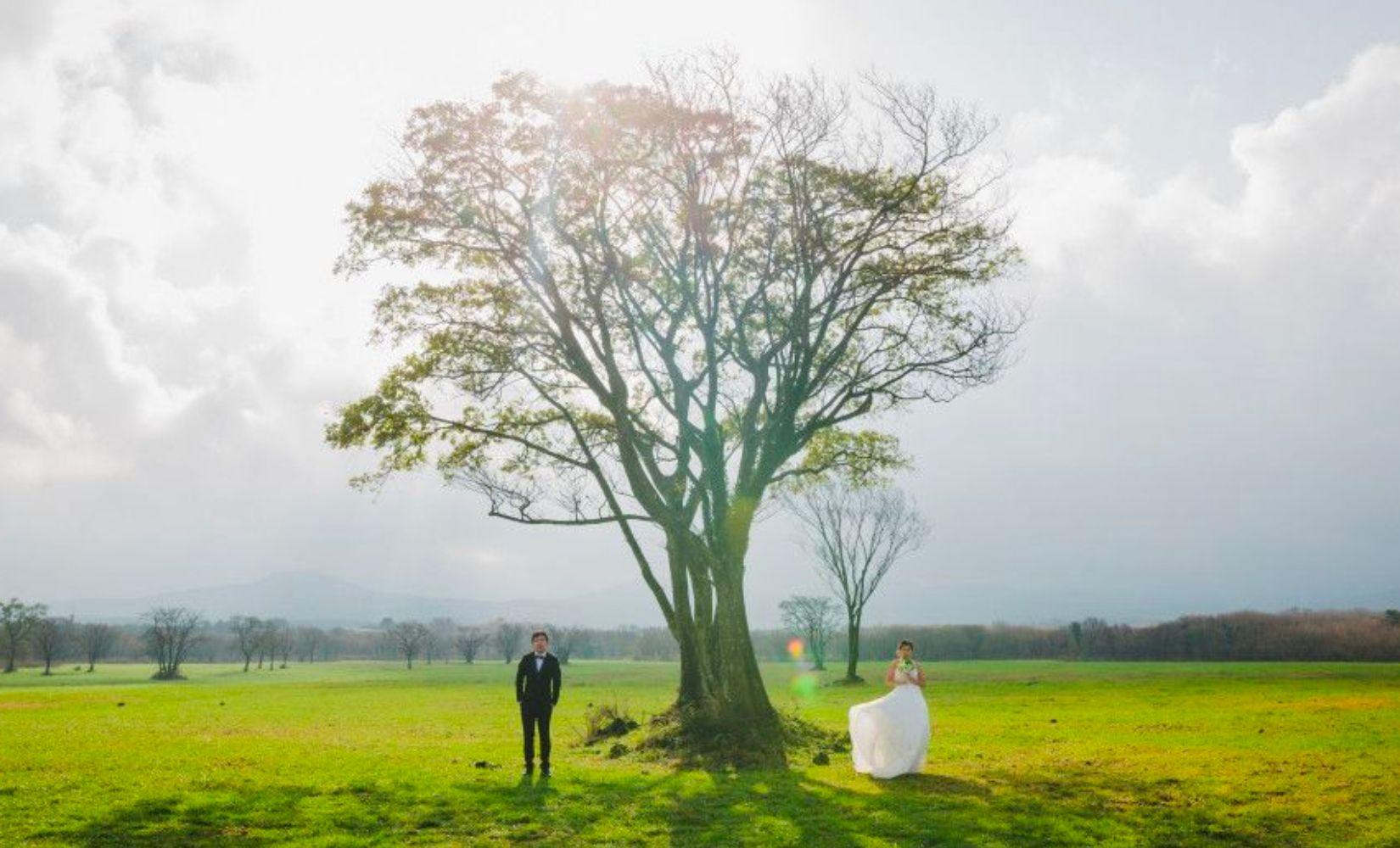 Dịch vụ chụp ảnh ngoại cảnh đảo Jeju, có xe đưa đón, giá ưu đãi!