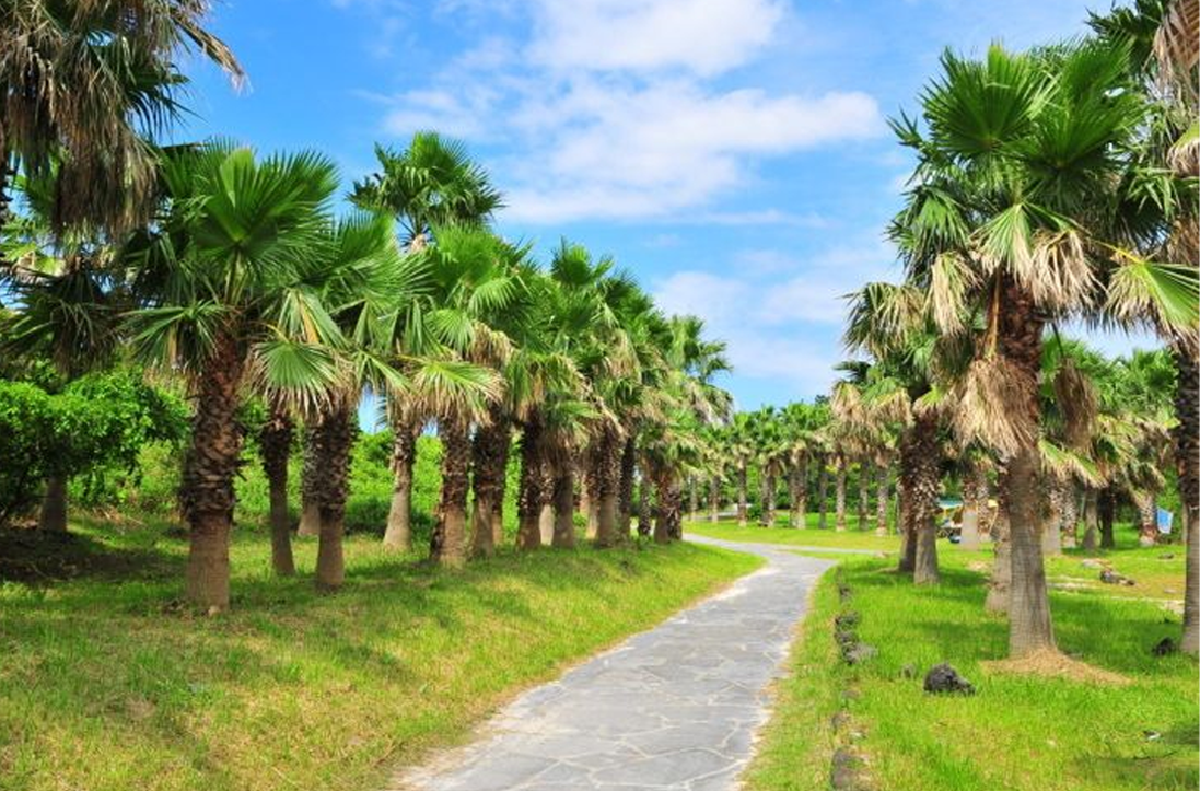 濟州拍攝 人生景