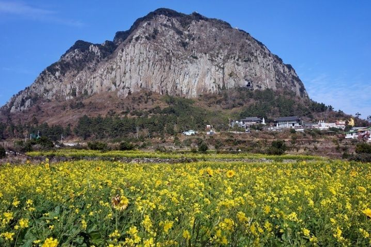 濟州拍攝