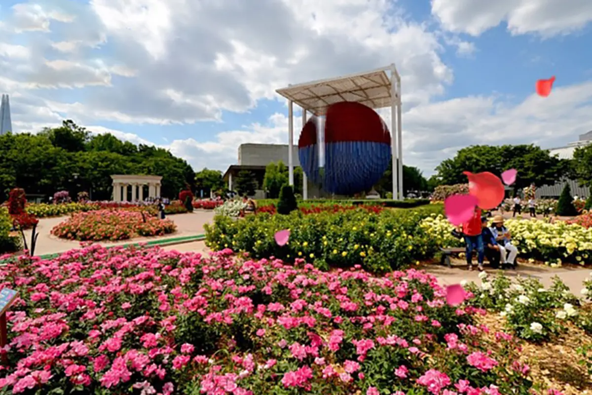 首爾玫瑰花 賞花 玫瑰花季 景點 2025