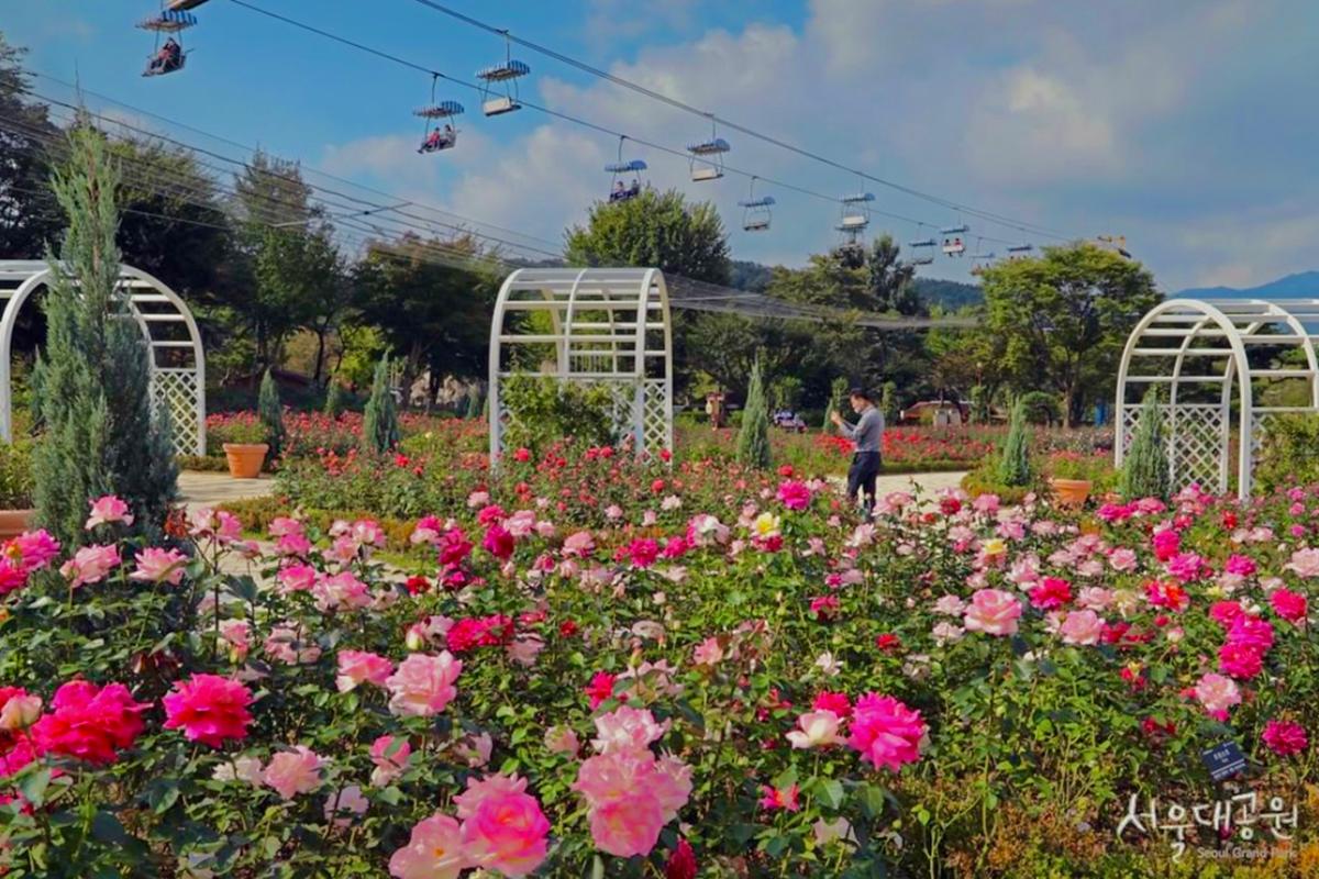 Công viên Seoul Grand Park
