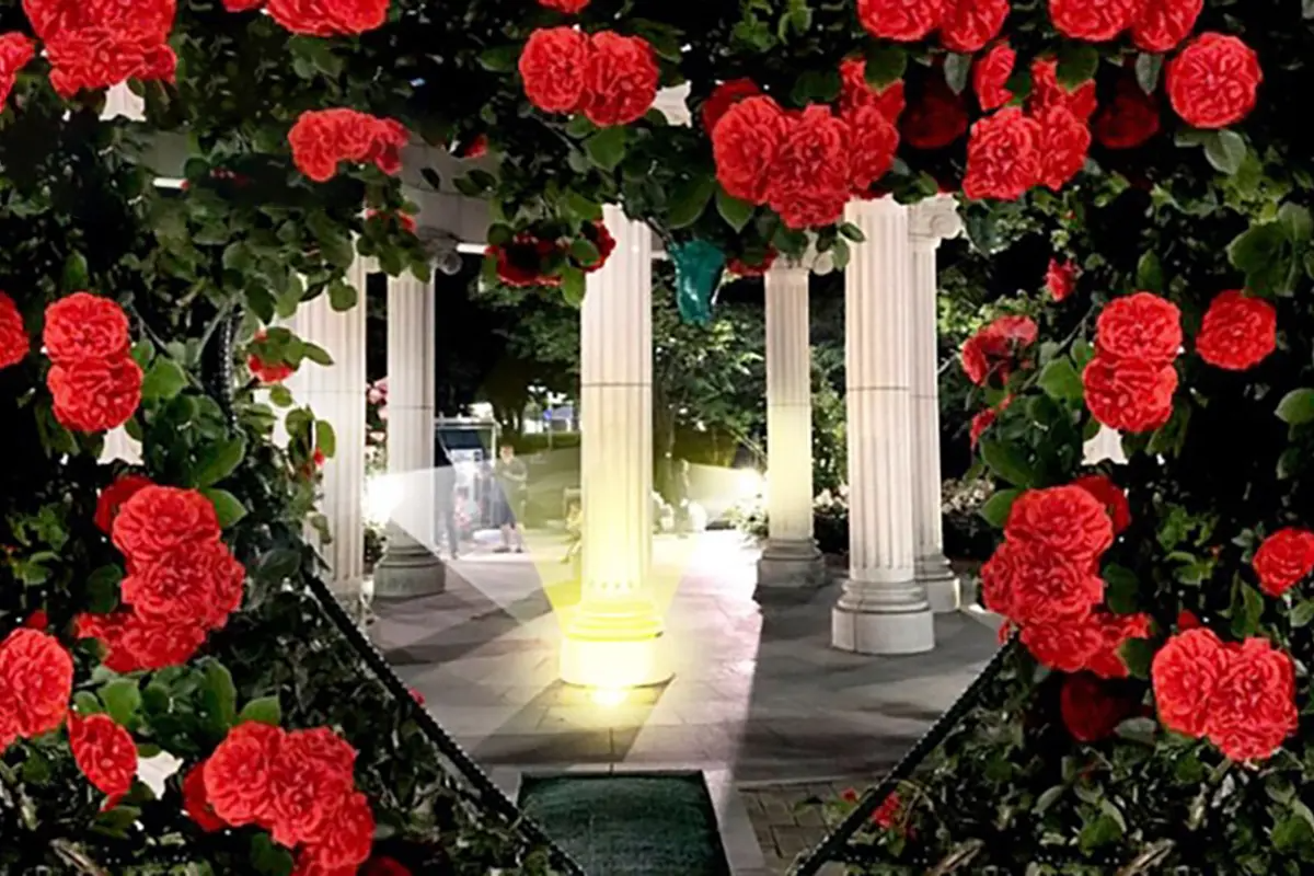 首爾玫瑰花 賞花 玫瑰花季 景點 2025