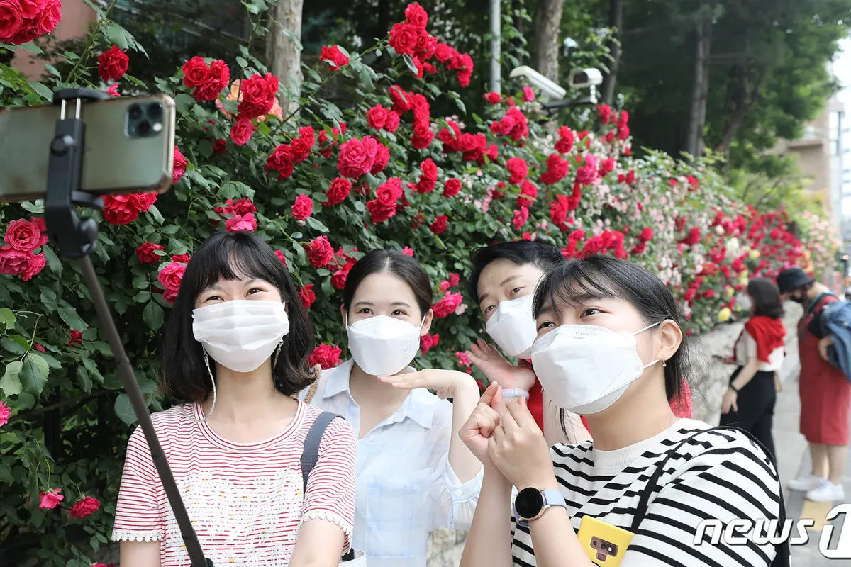 首爾玫瑰花 賞花 玫瑰花季 景點 2025