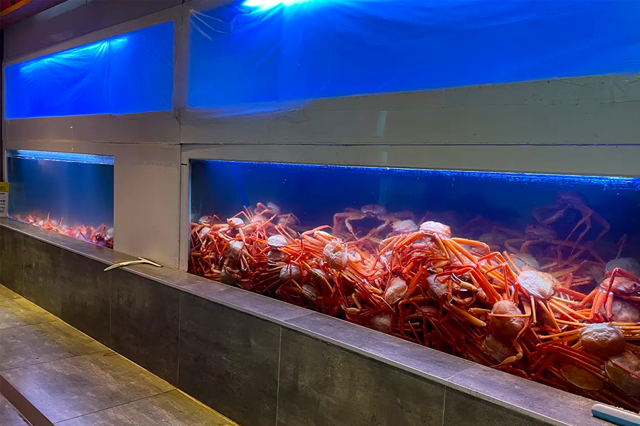 釜山 紅蟹 吃到飽 釜山螃蟹吃到飽 2025 紅蟹day