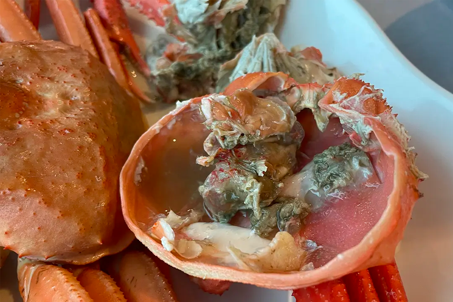 釜山 紅蟹 吃到飽 釜山螃蟹吃到飽 2025 紅蟹day