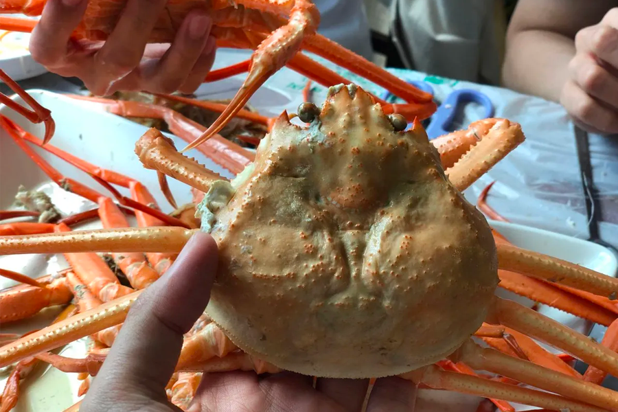 釜山 紅蟹 吃到飽 釜山螃蟹吃到飽 2025 紅蟹day