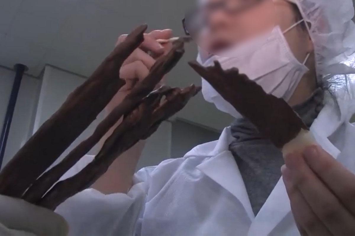 韓国、韓国料理、韓国グルメ、韓国文化、キムチ、カクテキ、白菜、にんにく、組み合わせ、食べ方、レシピ、種類、白キムチ、トンチミ、水キムチ