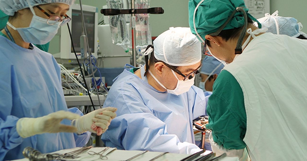 醫學院的手術室場景，顯示韓國大學醫學系的學習情形。