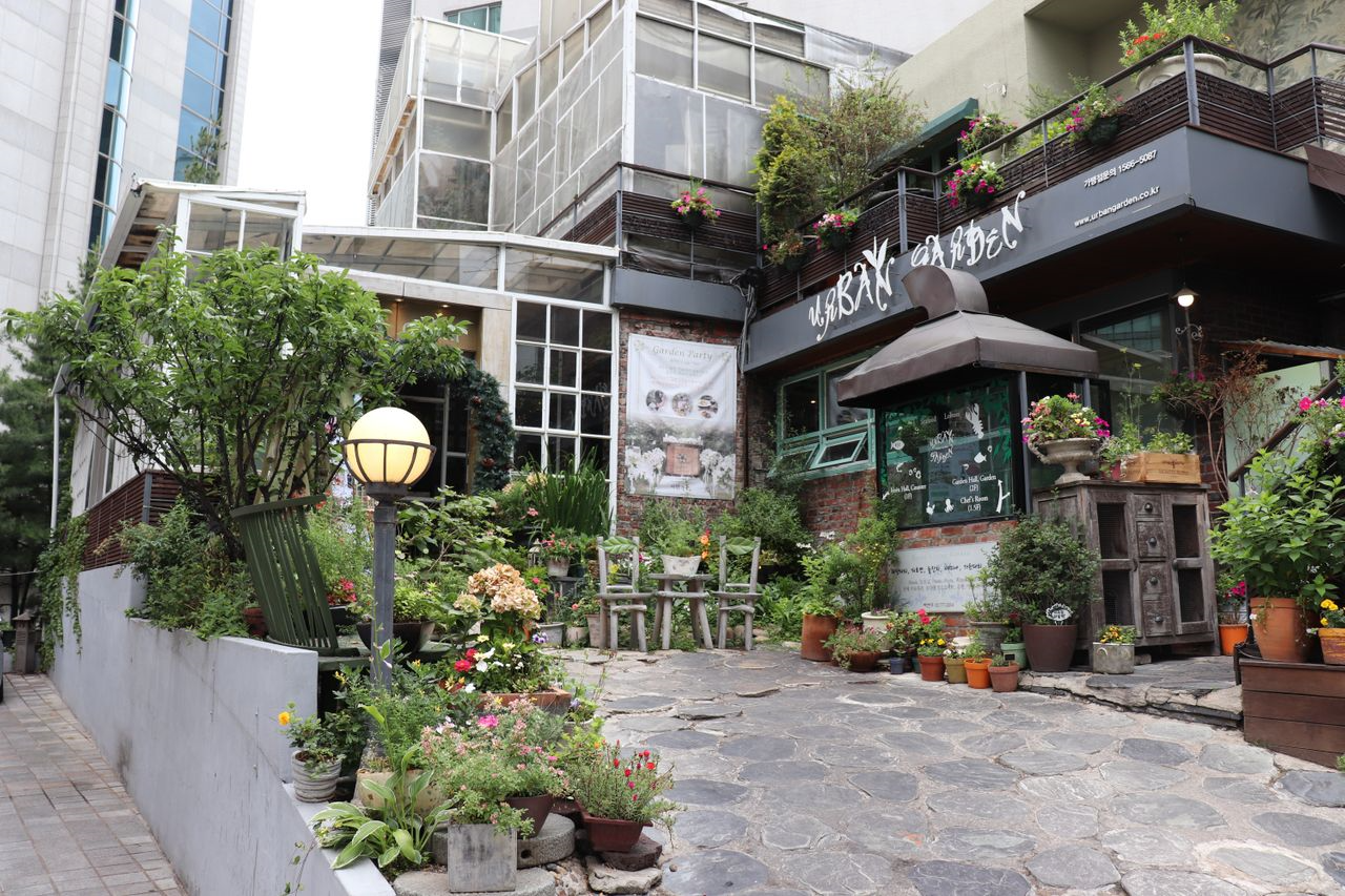 美味しいお店 韓国 美味しいお店 高級デザート 高級レストラン 光化門 光化門 美味しいお店