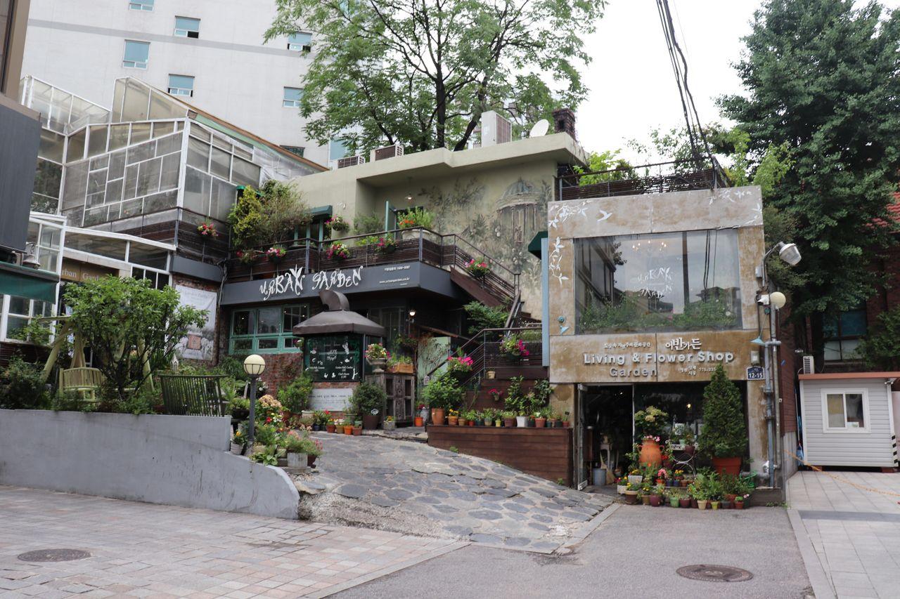 美味しいお店 韓国 美味しいお店 高級デザート 高級レストラン 光化門 光化門 美味しいお店