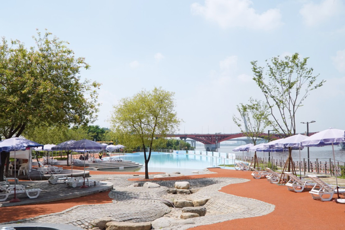 圖中詳細展示了楊花水上樂園的景色，周圍環繞着翠綠公園以及毗鄰的交通信息，便於遊客前往及欣賞四周環境。