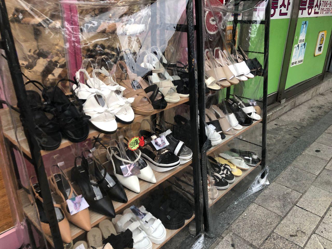 春天夜間的弘大街道，櫻花盛開的夜景吸引眾人