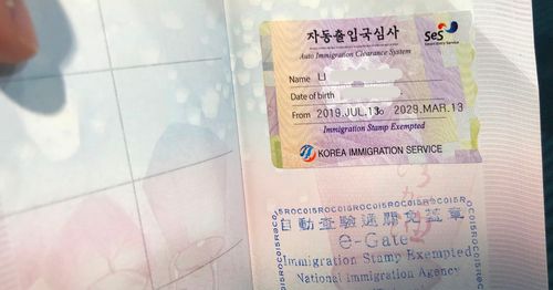 韓國自助通關 2024 sES 辦理教學 申請 快速通關 韓國入境