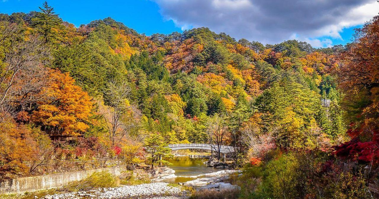 秋日的韓國五臺山，五光十色的樹林成為當地迷人的自然景點。