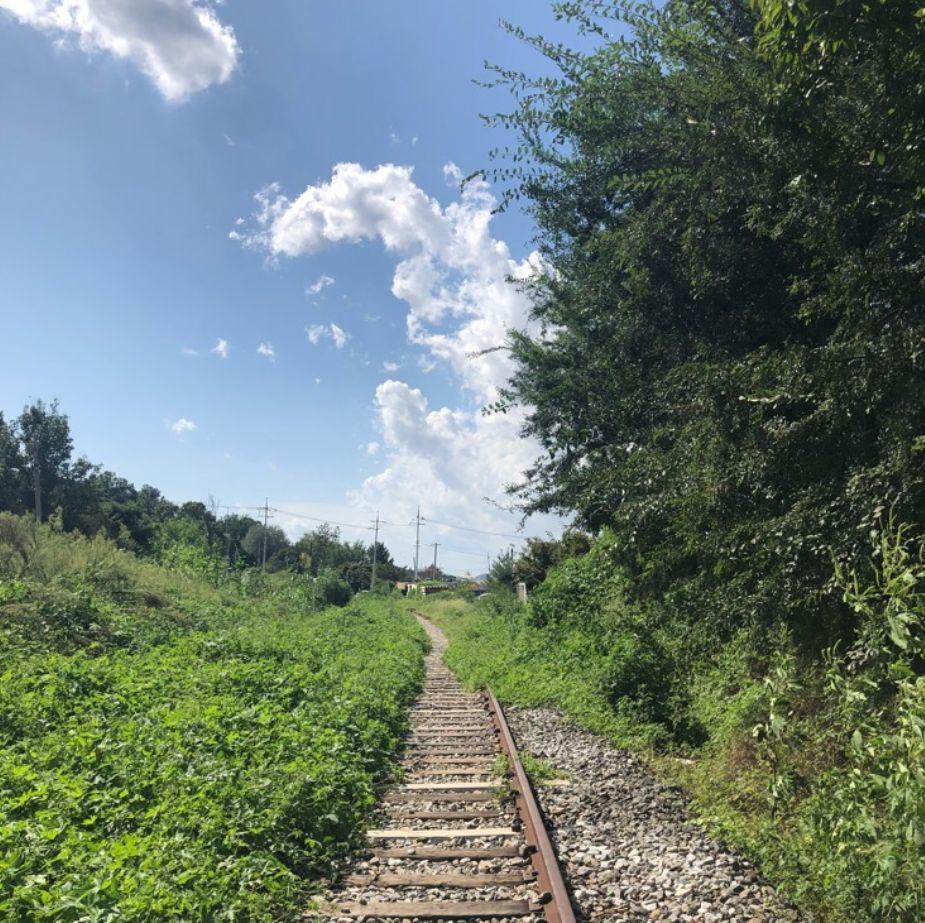 Voie ferrée entourée par la nature sauvage sous un ciel bleu à proximité de la gare abandonnée de Byukje.