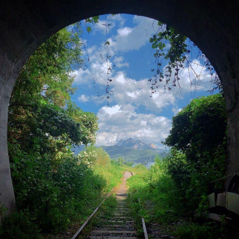 Vue pittoresque du Mont Bukhan visible à travers un tunnel, entouré de plantes verdoyantes et d'un ciel nuageux.