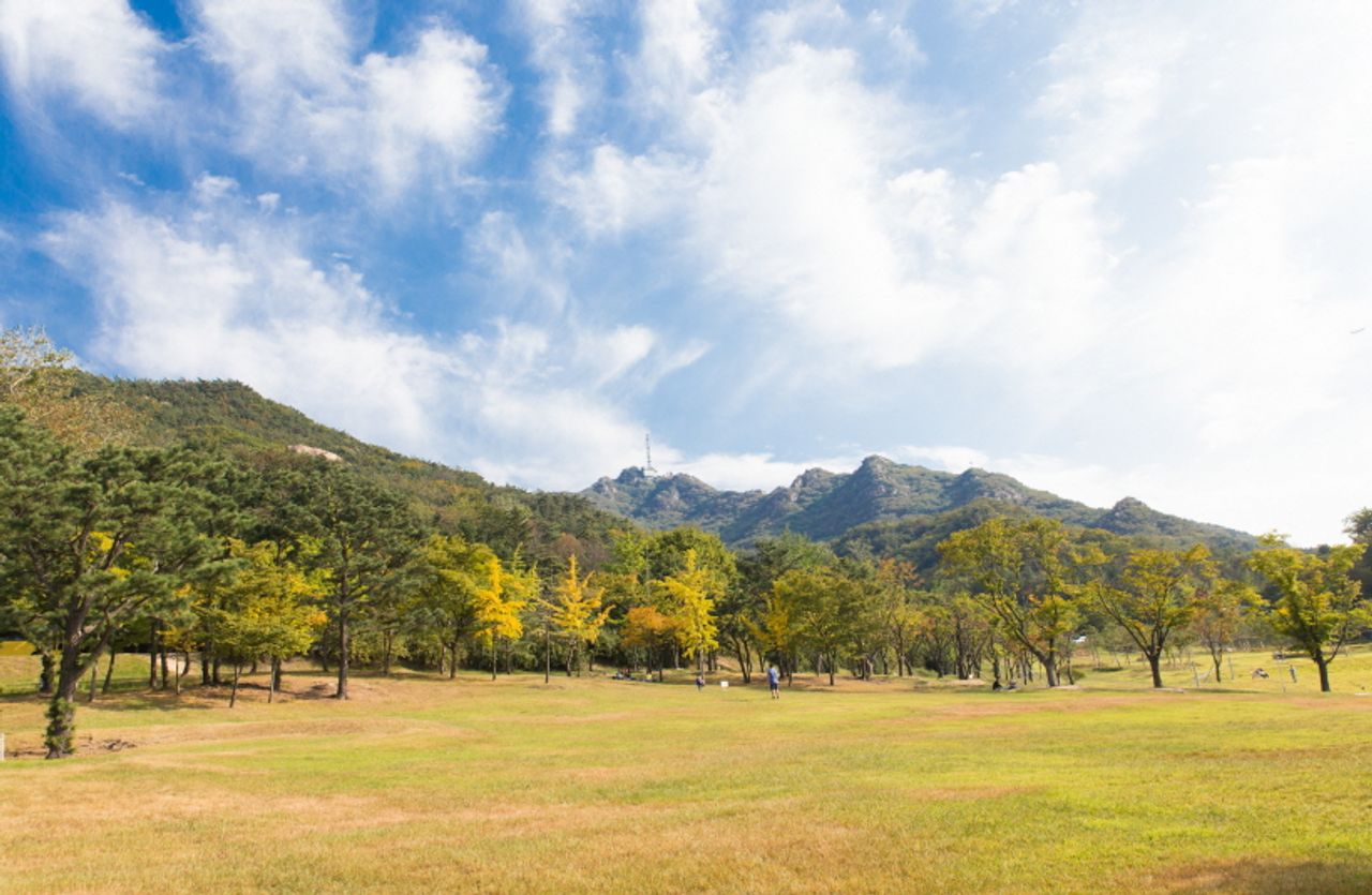 Paysage naturel autour du campus de l'Université nationale de Séoul avec des montagnes à l'arrière-plan.