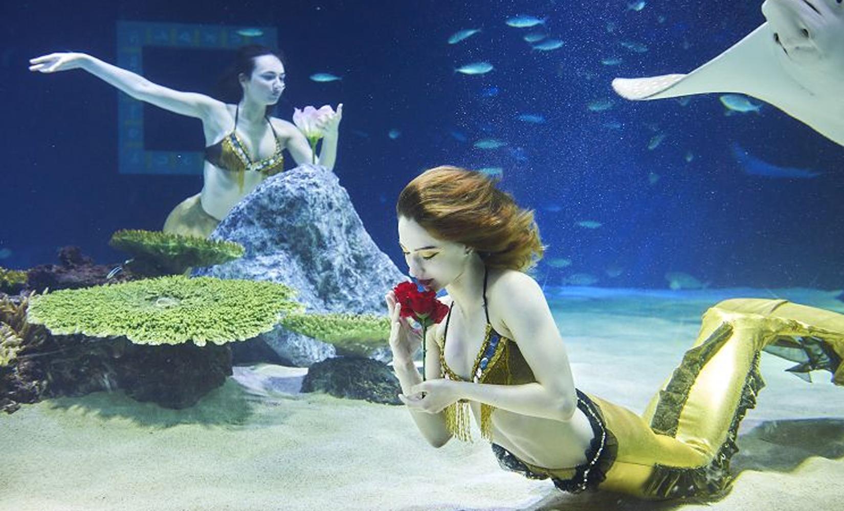 Vé Đài Quan Sát Nghệ Thuật 63 + Vé Vào Aqua Planet 