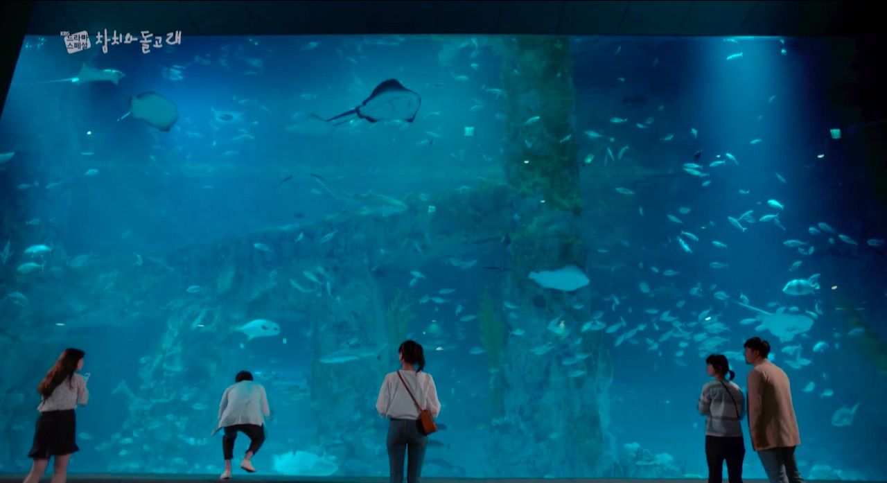 韓国、韓国旅行、韓国観光、汝矣島、ヨイド、ソウル、アクアプラネット63、63ビル、63スクエアビル、韓国展望台、63アート、ハンファ、韓国水族館、写真スポット、観光地