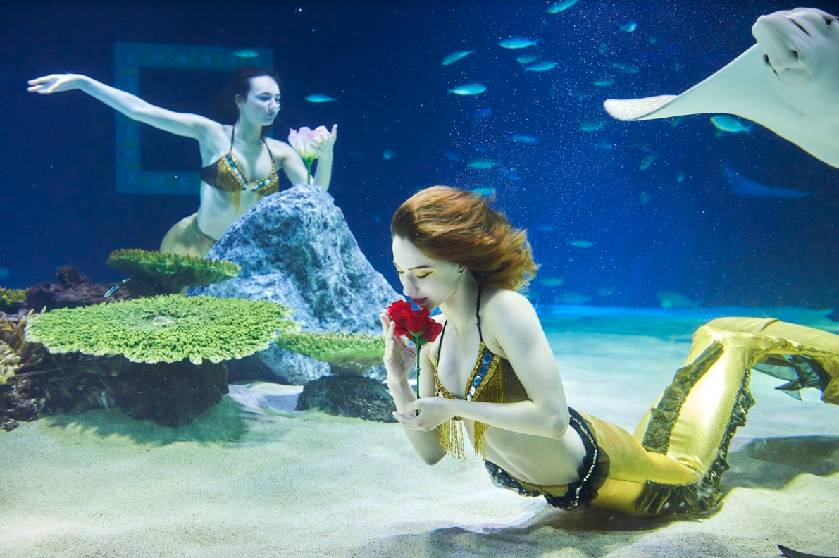 韓国、韓国旅行、韓国観光、汝矣島、ヨイド、ソウル、アクアプラネット63、63ビル、63スクエアビル、韓国展望台、63アート、ハンファ、韓国水族館、写真スポット、観光地