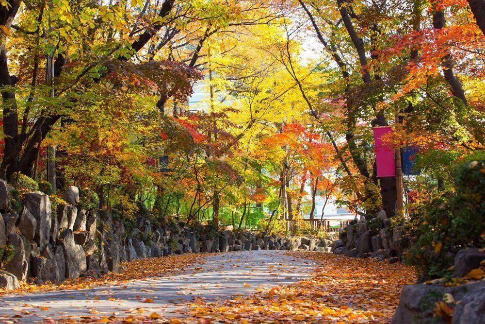 Summary of Seoul Attractions