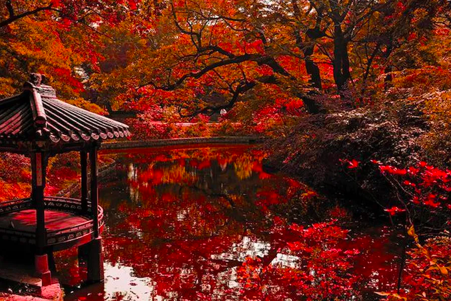 首爾景點 首爾自由行必去景點 2025 首爾必去旅遊景點 首爾景點推薦