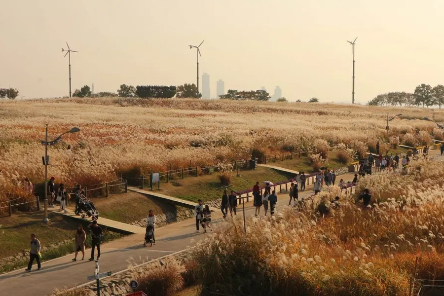 首爾景點 首爾自由行必去景點 2025 首爾必去旅遊景點 首爾景點推薦