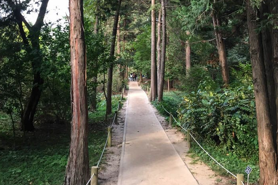 首爾景點 首爾自由行必去景點 2025 首爾必去旅遊景點 首爾景點推薦