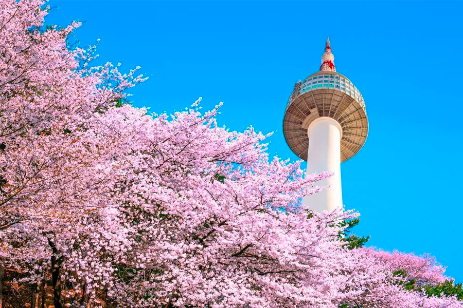 首爾景點 首爾自由行必去景點 2025 首爾必去旅遊景點 首爾景點推薦