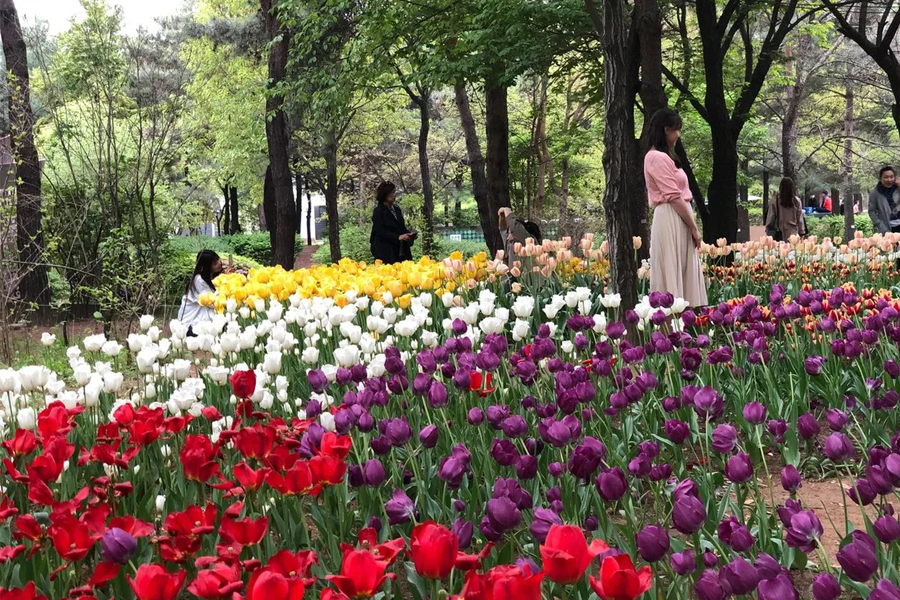 首爾景點 首爾自由行必去景點 2025 首爾必去旅遊景點 首爾景點推薦