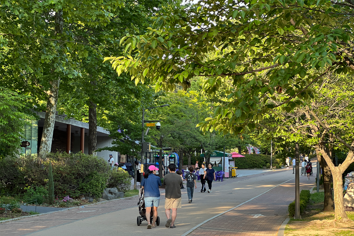 首爾景點 首爾自由行必去景點 2025 首爾必去旅遊景點 首爾景點推薦