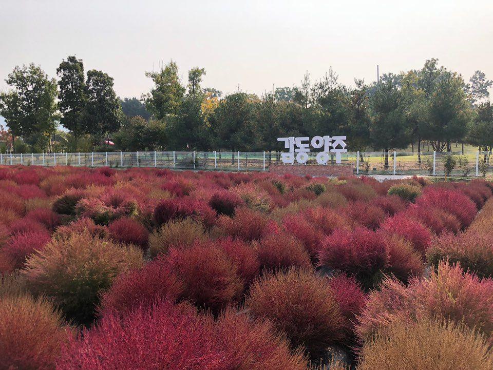 Nari Park Flower Viewing Guide