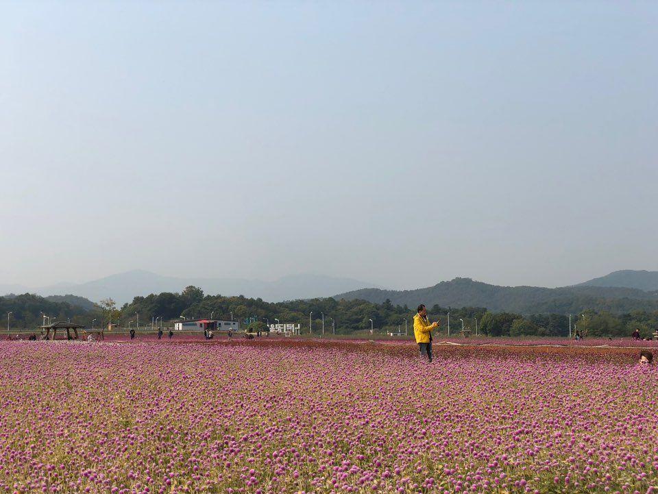 Nari Park Flower Viewing Guide