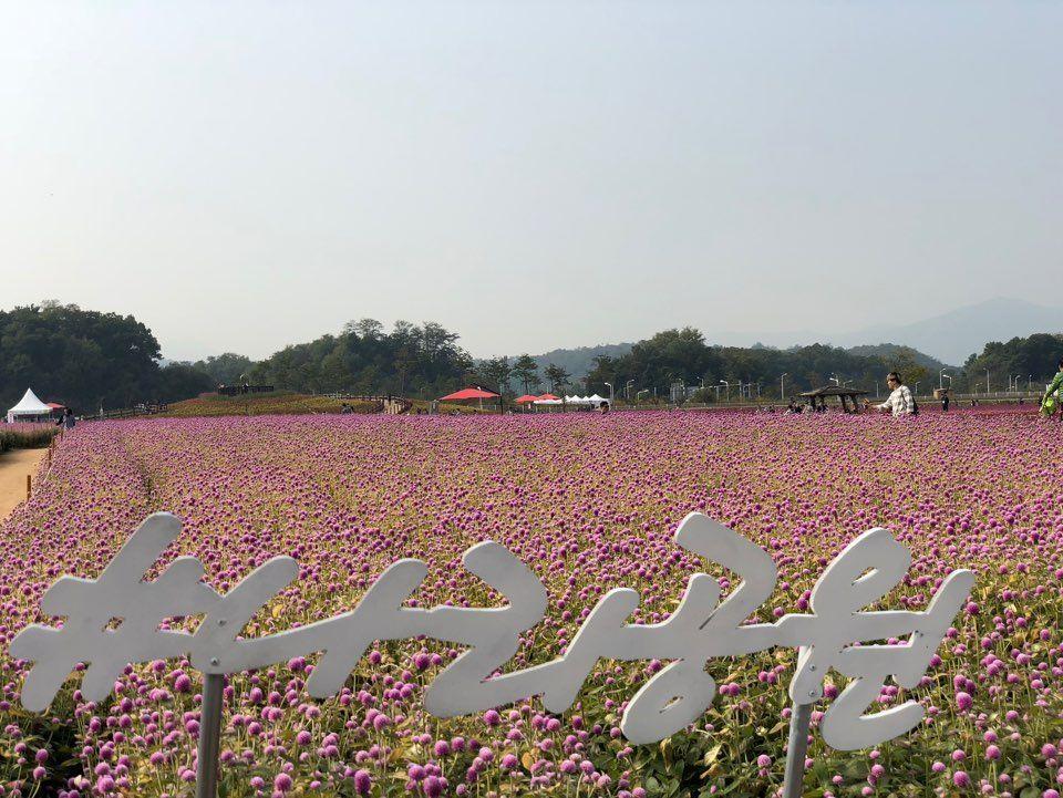 Nari Park Flower Viewing Guide