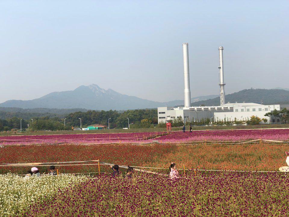 Nari Park Flower Viewing Guide