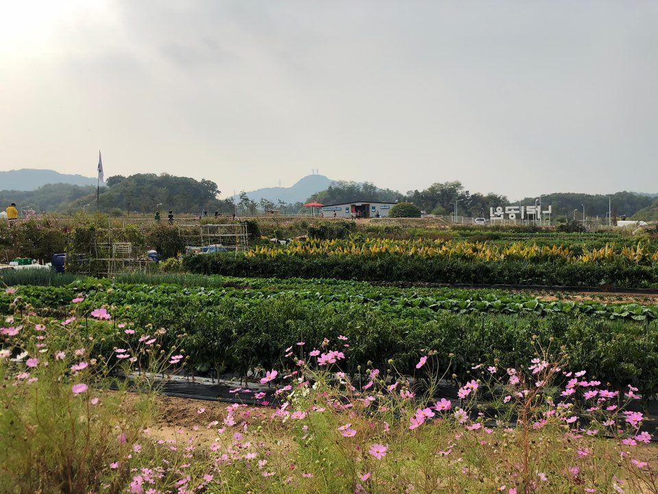 Nari Park Flower Viewing Guide