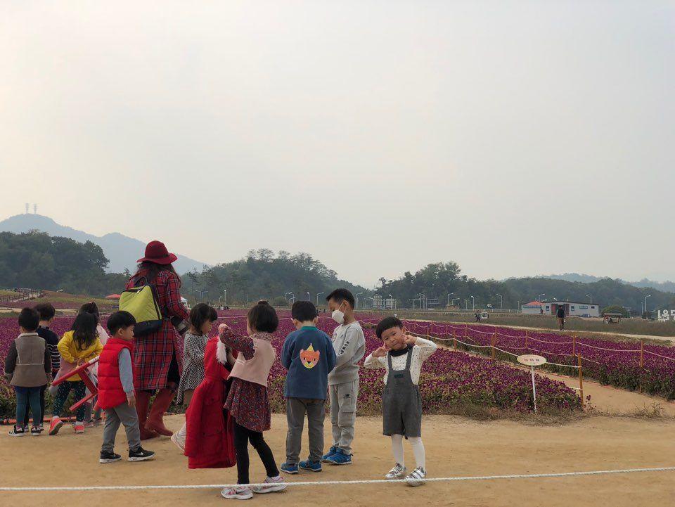 Nari Park Flower Viewing Guide