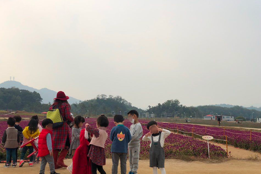 2025 nari公園 粉紅芒草 韓國粉紅芒草 交通