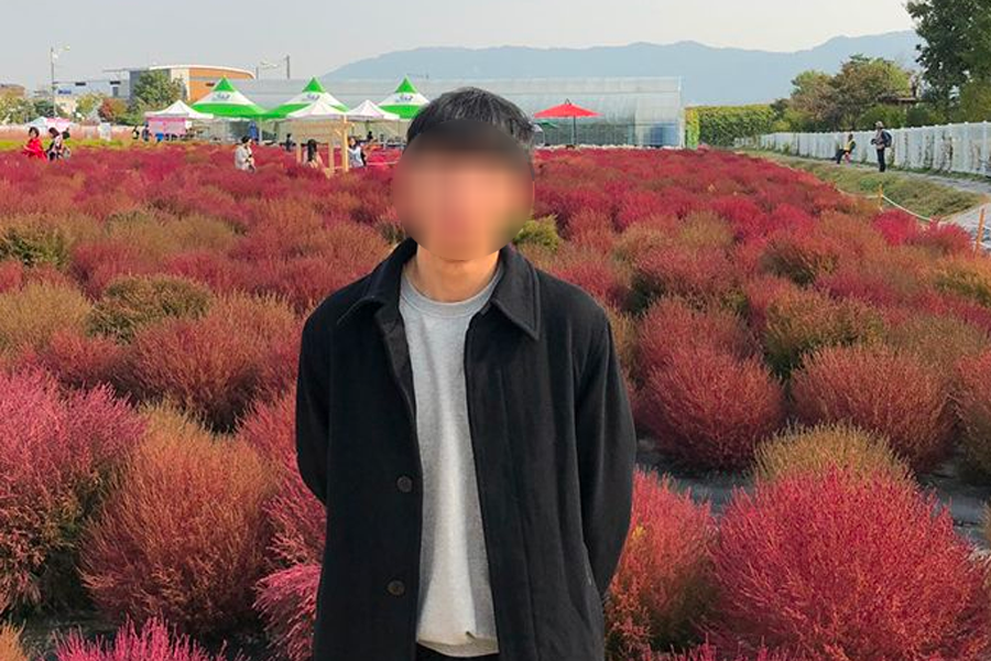 2026 nari公園 粉紅芒草 韓國粉紅芒草 交通