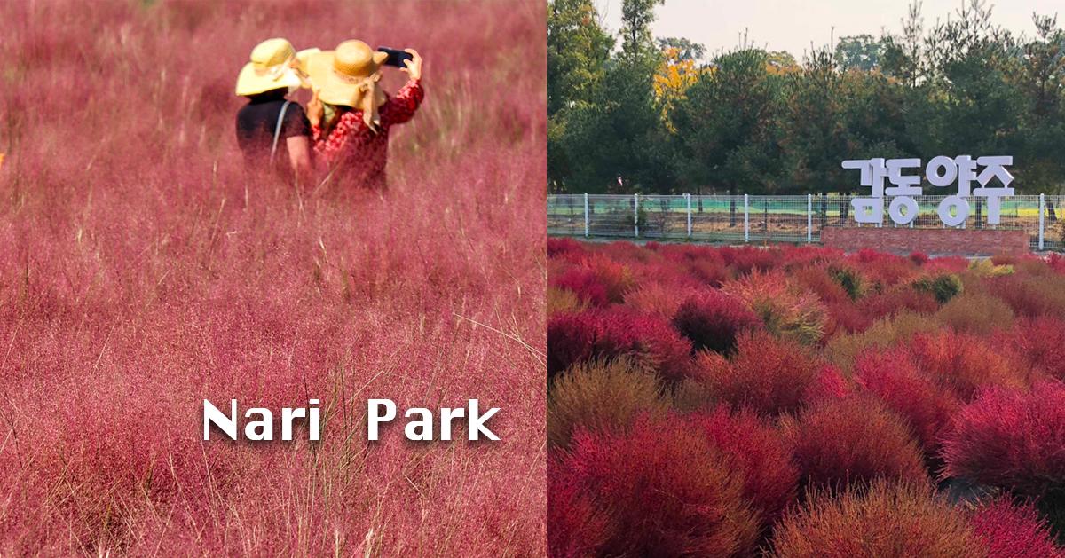 杨州「Nari公园」探访