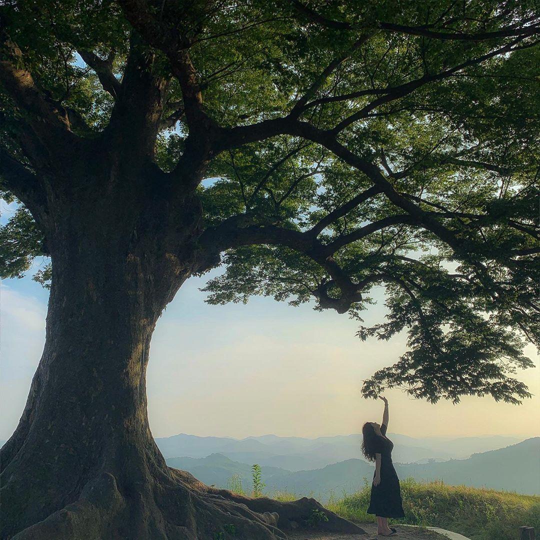 韓国ドラマ  韓ドラ ホテルデルーナ ドラマロケ地 韓国ドラマロケ地 ホテルデルーナロケ地