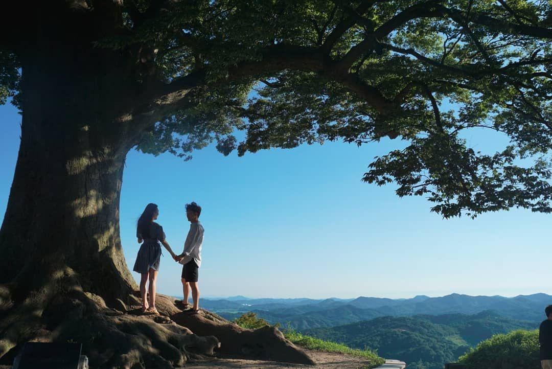 德魯納酒店 滿月社長 拍攝地 韓劇德魯納 拍攝景點 取景地
