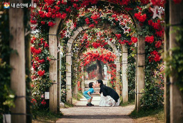 德魯納酒店 滿月社長 拍攝地 韓劇德魯納 拍攝景點 取景地