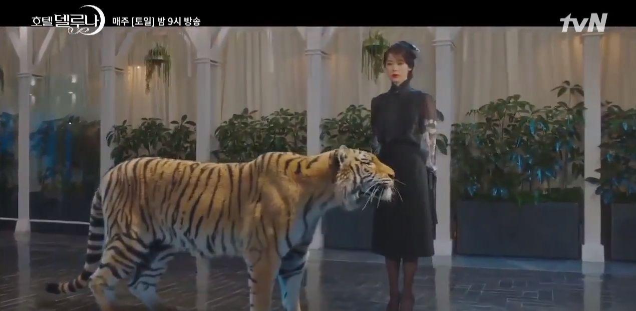 德魯納酒店 滿月社長 拍攝地 韓劇德魯納 拍攝景點 取景地