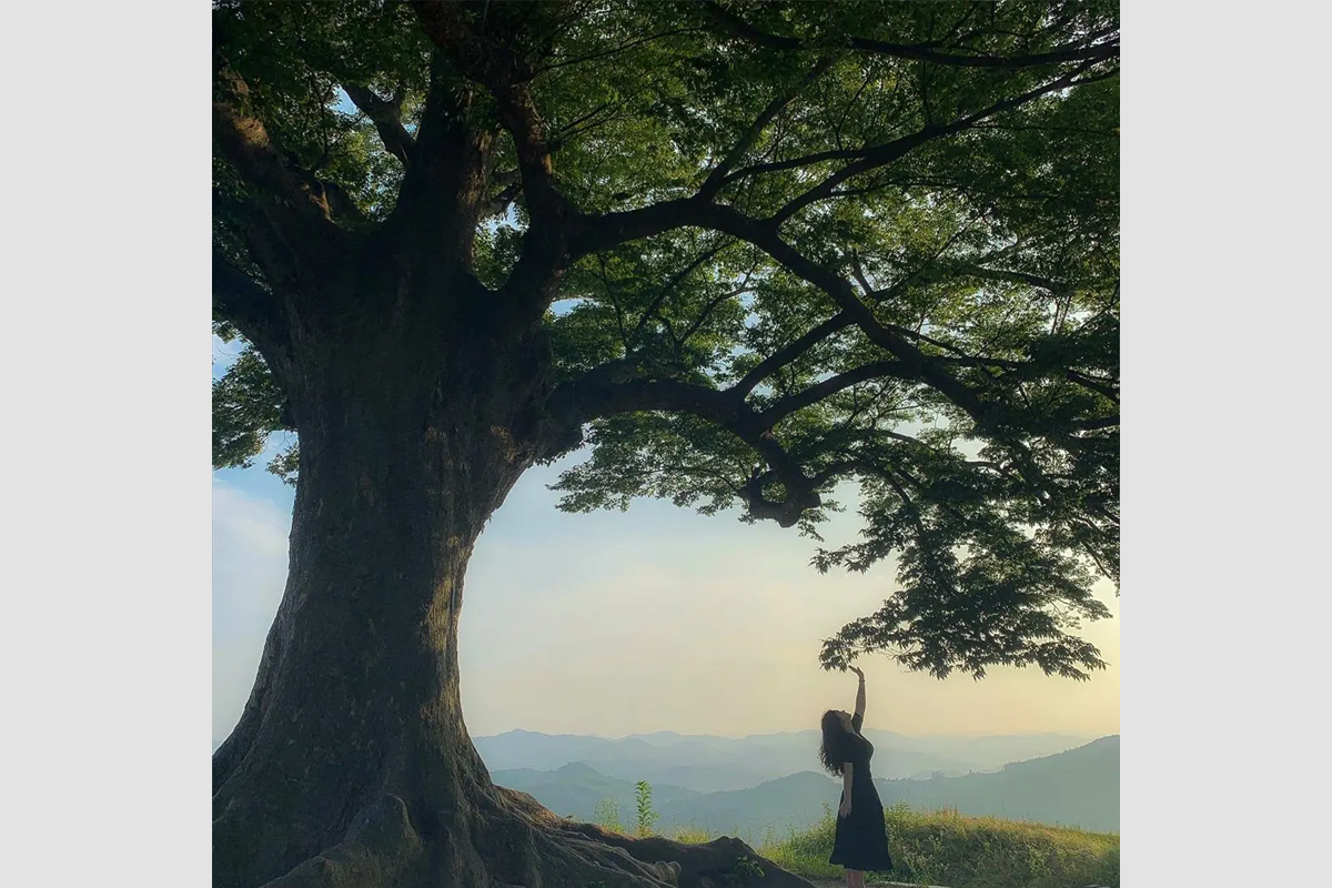 德魯納酒店 滿月社長 拍攝地 韓劇德魯納 拍攝景點 取景地