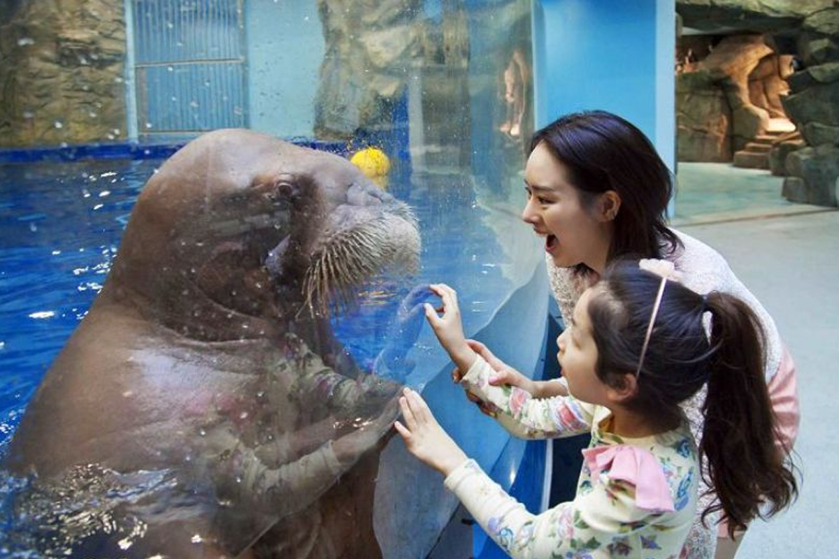一山海洋世界水族館