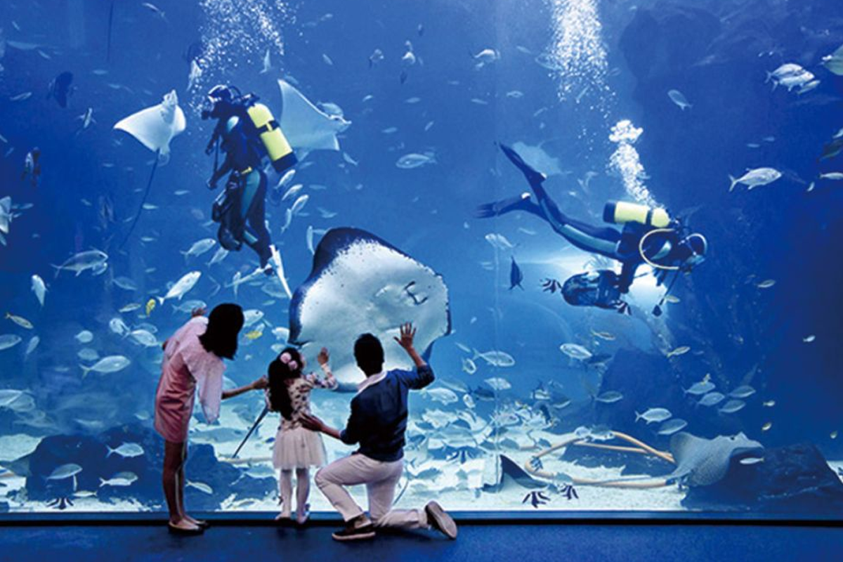 一山海洋世界水族館