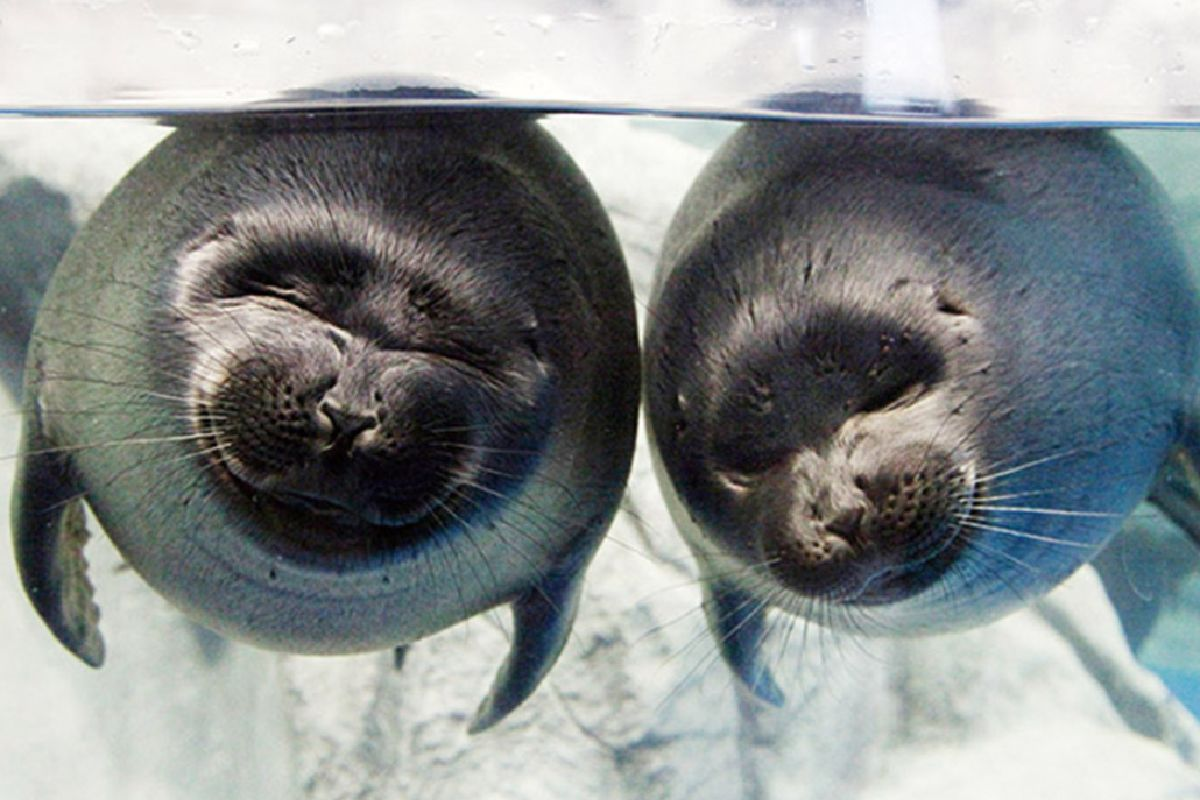 一山海洋世界水族館