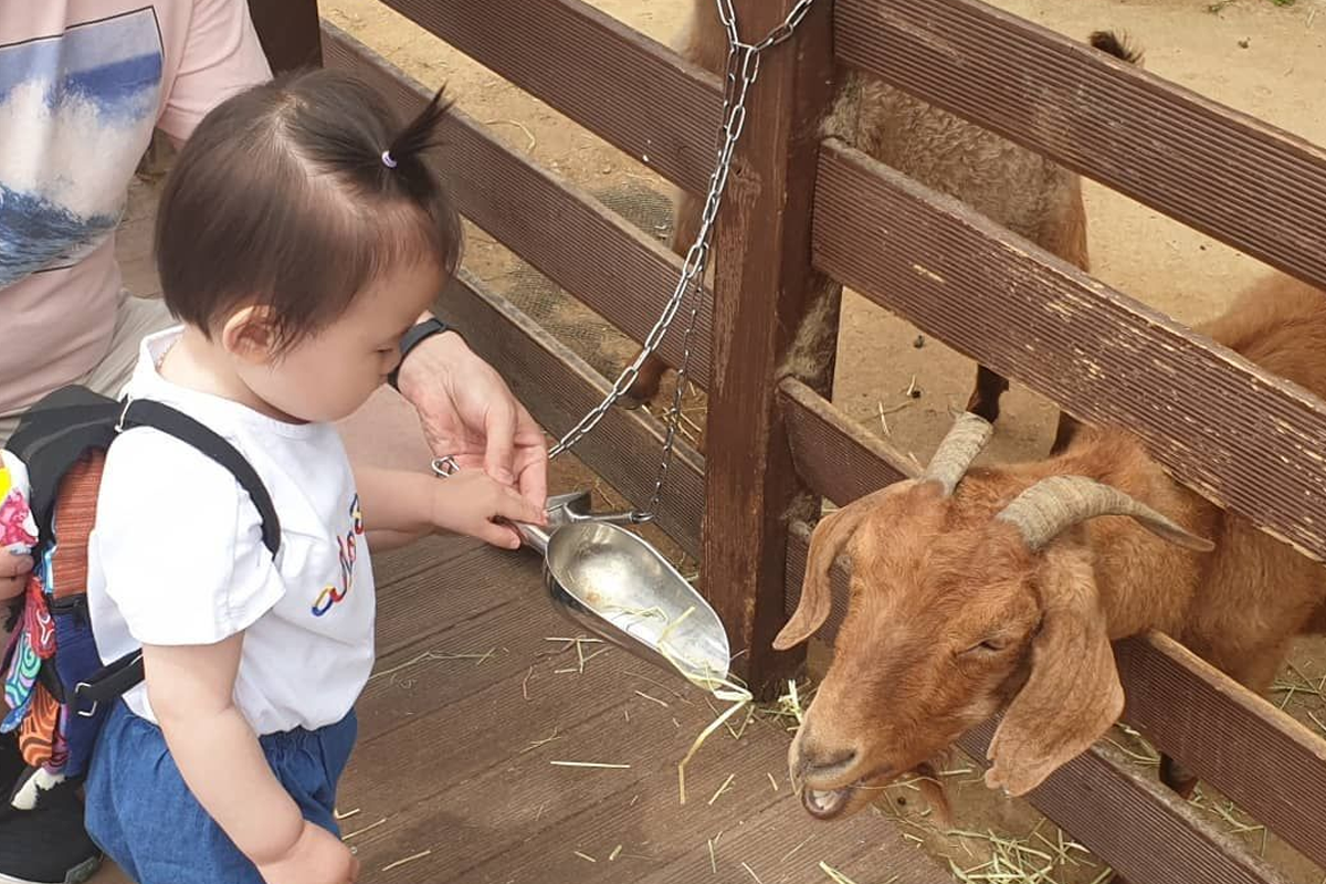 一山海洋世界動物園